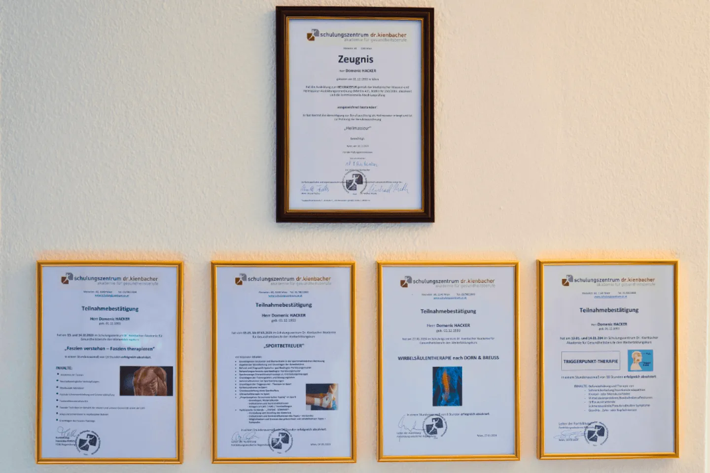 Medizinische Urkunden von Domenic Hacker